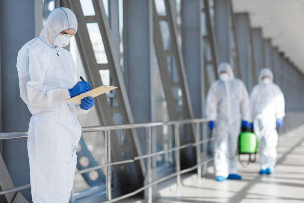 Best Asbestos and Lead Testing During Mold Inspection  in Tell City, IN