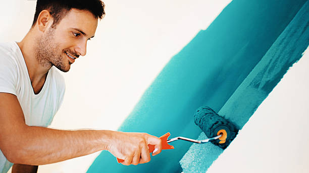 Best Black Mold Removal  in Tell City, IN